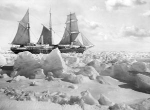 ○新品未開封「シャクルトンの南極冒険」 unisystem.co.id
